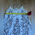 Boutique Women's Scalloped Lace Snake Print V Photo 3