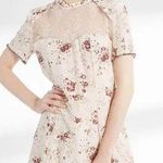 The Kooples Silk Cream Floral Lace Inset Ruffle Dress Photo 0