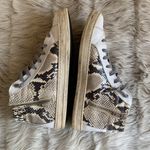 P448 Skate High Top Sneaker Snakeskin Python Print SIZE 41 Photo 3