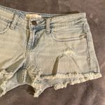 BP Distressed Cut off Shorts Photo 1