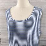 Ronni Nicole Tank Dress/Beach Coverup Blue/White Stripes-XXL Photo 1