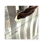Henri Bendel Super Rare: ミ Signature PVC Stripe Tote ミ Brown Clear ミ Collectible Photo 10