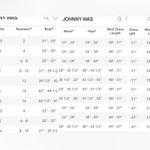 Johnny Was  Cardinal Mesh Dress NEW Photo 6