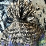 Aeropostale  Winter Cap Tassel Acrylic Colorful Beanie Womens One Size Photo 2