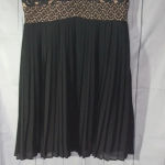 Heartloom  Anthropologie Black sheer and lace fit& flare dress Photo 2