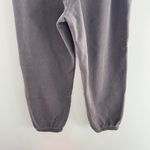 Aerie  x Wicked Big Chill Jogger Smoked Grey XL Photo 11