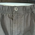 prAna  Gray Pull On Hiking ShortS Size 10 EUC #0989 Photo 3