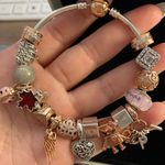 Pandora Bracelet (17 Charms) Photo 3