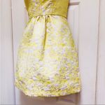 Kimchi Blue  Jacquard Dress size 10 Photo 4