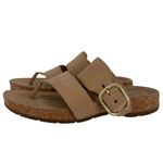 Clarks  Women's Reileigh Park Flip-Flop Sandals‎ Tan Size 11 Beachy Comfy Casual Photo 3