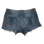 Pilcro and the Letterpress Anthropology  Distressed Jean Shorts Photo 2