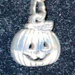 Silver pumpkin necklace.. dainty! Perfect for the little you ! Photo 4