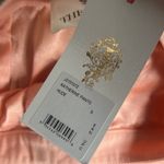 The Jetset Diaries NEW  Katherine pants in nude Photo 6