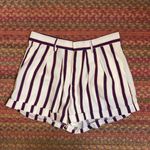 Forever 21 NAUTICAL VERTICAL STRIPED SHORTS Photo 0