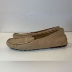 Coach  Women’s Amber‎ Black Cherry Calf Suede Loafers Size 9.5 B Photo 1