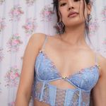 For Love & Lemons ππ Bell Bow Bustier Blue 32DD NWT *FLAW Tie String Missing Photo 3