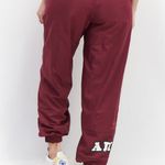 Adidas Burgundy Primegreen Shorts Photo 2