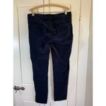 J. McLaughlin  Velvet Pants Women's 14 Slim Cotton Stretch Blue Coastal‎ Prep Photo 2