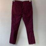 frame denim  Le Skinny pants size 27 distressed purple Photo 7