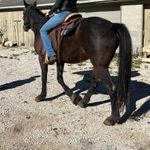 Wrangler Jeans Photo 6