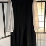 Calvin Klein NWT$134 size 10  black dress Long Puff white Lace Sleeve bow on neck Photo 5