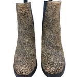 UGG FS2197 EUC $225  Camden Exotic Chelsea Boots size 7 Photo 4