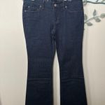 Loft  modern flare lowrise Sz 6 NWT Photo 1