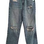 PacSun  90’s Boyfriend High rise jean NWT Photo 0