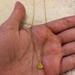 Ladybug Gold Necklace Photo 0