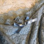 Windsor Light Blue Lace Mini Dress Size S Photo 3