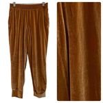 Fabletics Light Honey Luxe Velour Comfy Loungewear Jogger Size Medium Photo 2