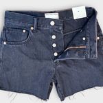 Free People  Ivy Mid-Rise Shorts Size 25 Photo 3