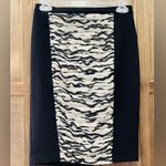 Xxi EUC Black with zebra gathered inlay mini skirt. Photo 0