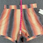 Rip Curl  Melting Waves Stripe Shorts Photo 14