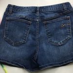 American Rag  ladies  shorts 9 Photo 6