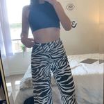 Zebra Pants Photo 3
