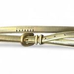EXPRESS Vintage Thin Gold Belt Photo 0