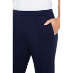 Liverpool Wide Leg Pull-on Trouser, Cadet Blue, 31 Photo 11
