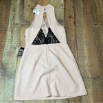 EXPRESS  Women's NEW Pink Black Lace Fully Lined Date Night Halter Dress Sz 6 Photo 4