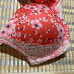 Victoria's Secret  Dream Angels Push Up Bra Orange Cherry Blossoms Lace 36D Photo 5