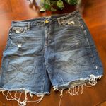Terra & Sky 18W Jean shorts •  Photo 0