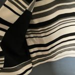 CAbi : Black & White Striped Pencil Skirt- S Photo 12
