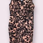 Enfocus Studio Pale Pink and Floral Black Velvet Bodycon Dress - size 14 Photo 0