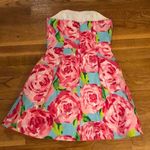 Lilly Pulitzer First Impression Dress Photo 1