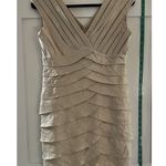 Adrianna Papell  Champagne Pleated Ruffled Cocktail Formal Elegant Dress Sz 8P Photo 0