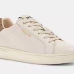 Coach NWOB Women’s Clip Low Top Leather Sneaker in Chalk/Khaki. Size 9.5B Photo 1
