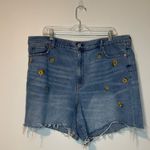 American Eagle  Mom Shorts Tiny Flower Embroidered Plus Size 20 Boho Photo 4
