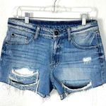 Pistola Asher Girlfriend Jean Shorts in Supreme Hit Distressed Frayed Size 28 Photo 0