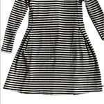 Madewell  Hi-Line Long Sleeve Stripe Dress Size XS Photo 3