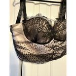 Akira Womens Rica Rica Bustier Top L Black Lace Overlay NEW Photo 3